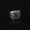 Anillo naturaleza 1
