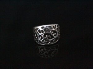 Anillo naturaleza 1
