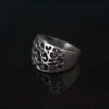 Anillo naturaleza 2